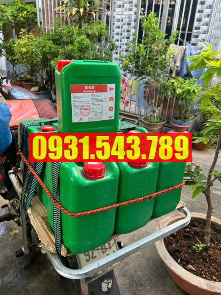 Hoá chất tẩy gỉ sắt thép 2025 - Liên hệ mua hàng : 0931.543.789