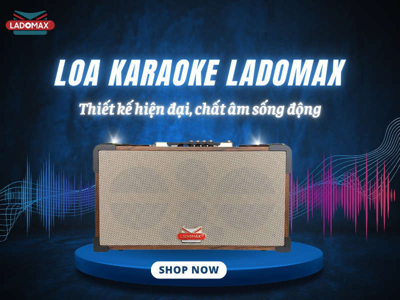 Loa Karaoke Di Động – Chính Hãng, Giá Tốt Nhất | Ladomax