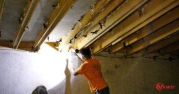 YẾN SÀO VN NEST – NGUỒN DINH DƯỠNG VÀNG – AN TÂM SỨC KHỎE.