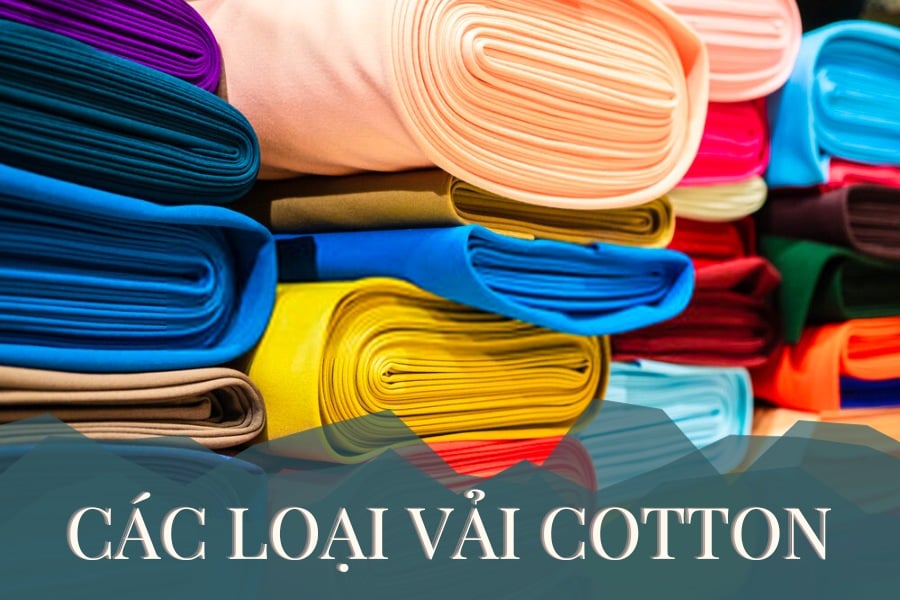Các loại vải cotton cao cấp được sử dụng phổ biến trong ngành thời trang