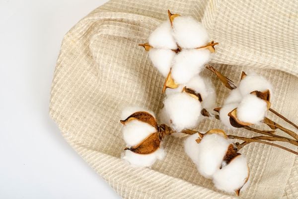 Vải Cotton 65/35 là gì? Nguồn gốc và đặc tính vải cotton 65/35