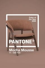 MOCHA MOUSSE - SẮC NÂU ẤM ÁP VÀ Ý TƯỞNG TRANG TRÍ NỘI THẤT 2025