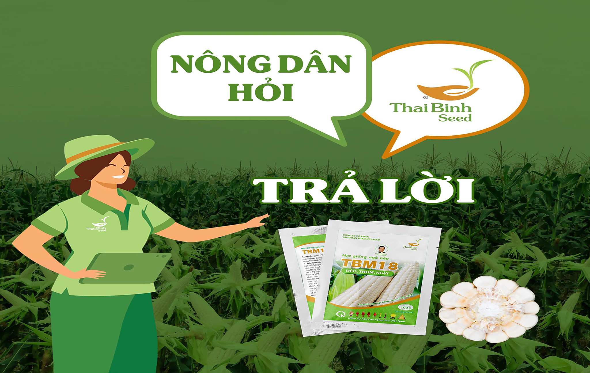 CHUYÊN MỤC: NÔNG DÂN HỎI – THAIBINH SEED TRẢ LỜI