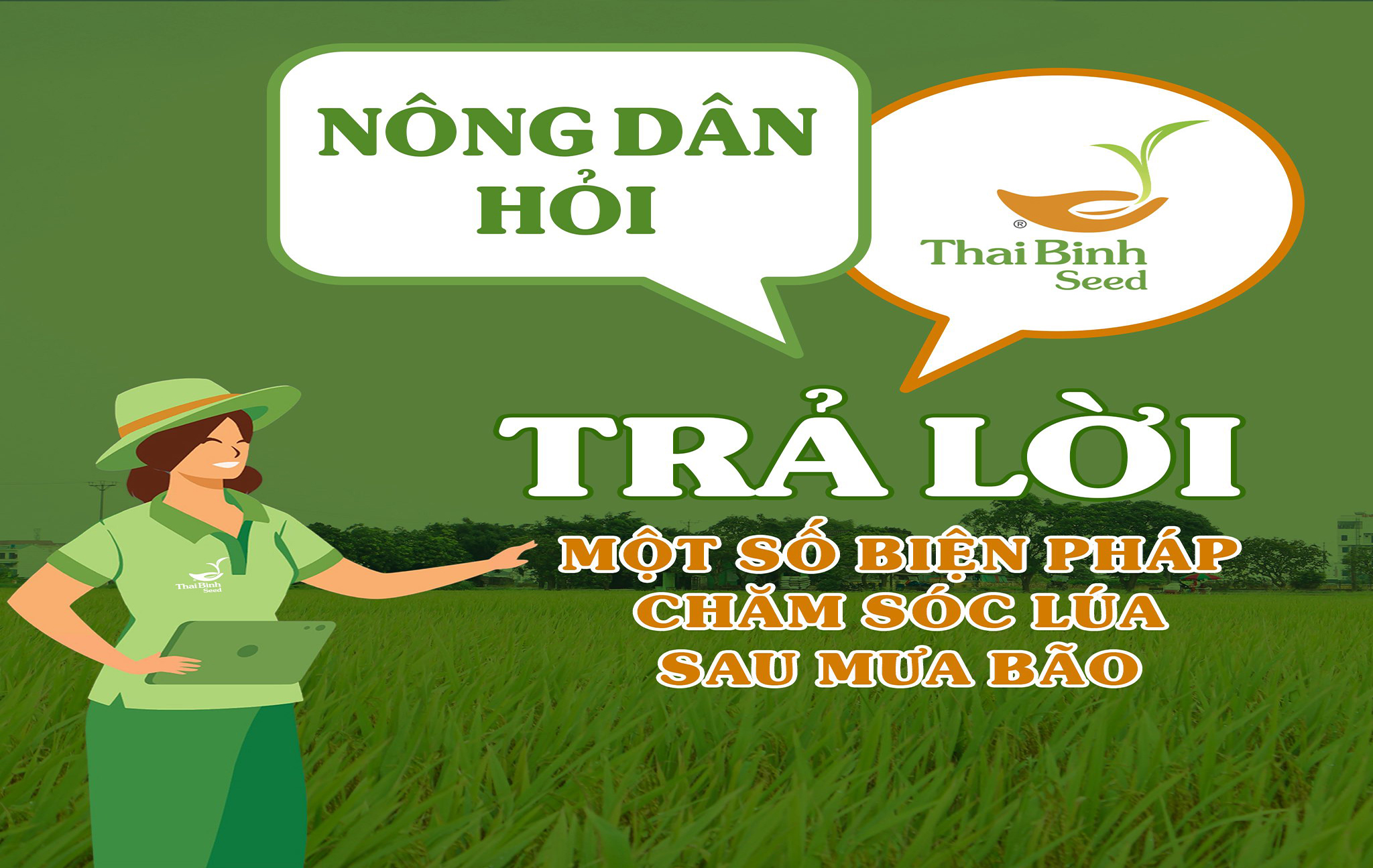 CHUYÊN MỤC: NÔNG DÂN HỎI - THAIBINH SEED TRẢ LỜI