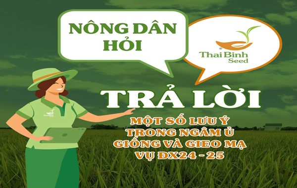CHUYÊN MỤC: NÔNG DÂN HỎI - THAIBINH SEED TRẢ LỜI.