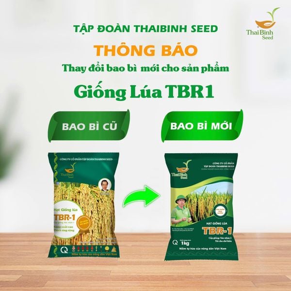 TẬP ĐOÀN THAIBINH SEED THÔNG BÁO THAY ĐỔI MẪU BAO BÌ MỚI.