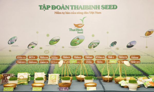 THAIBINH SEED ĐỒNG HÀNH CÙNG HỘI NGHỊ SƠ KẾT SẢN XUẤT TRỒNG TRỌT NĂM 2024 VÀ TRIỂN KHAI KẾ HOẠCH SẢN XUẤT TRỒNG TRỌT NĂM 2025 CÁC TỈNH PHÍA BẮC.