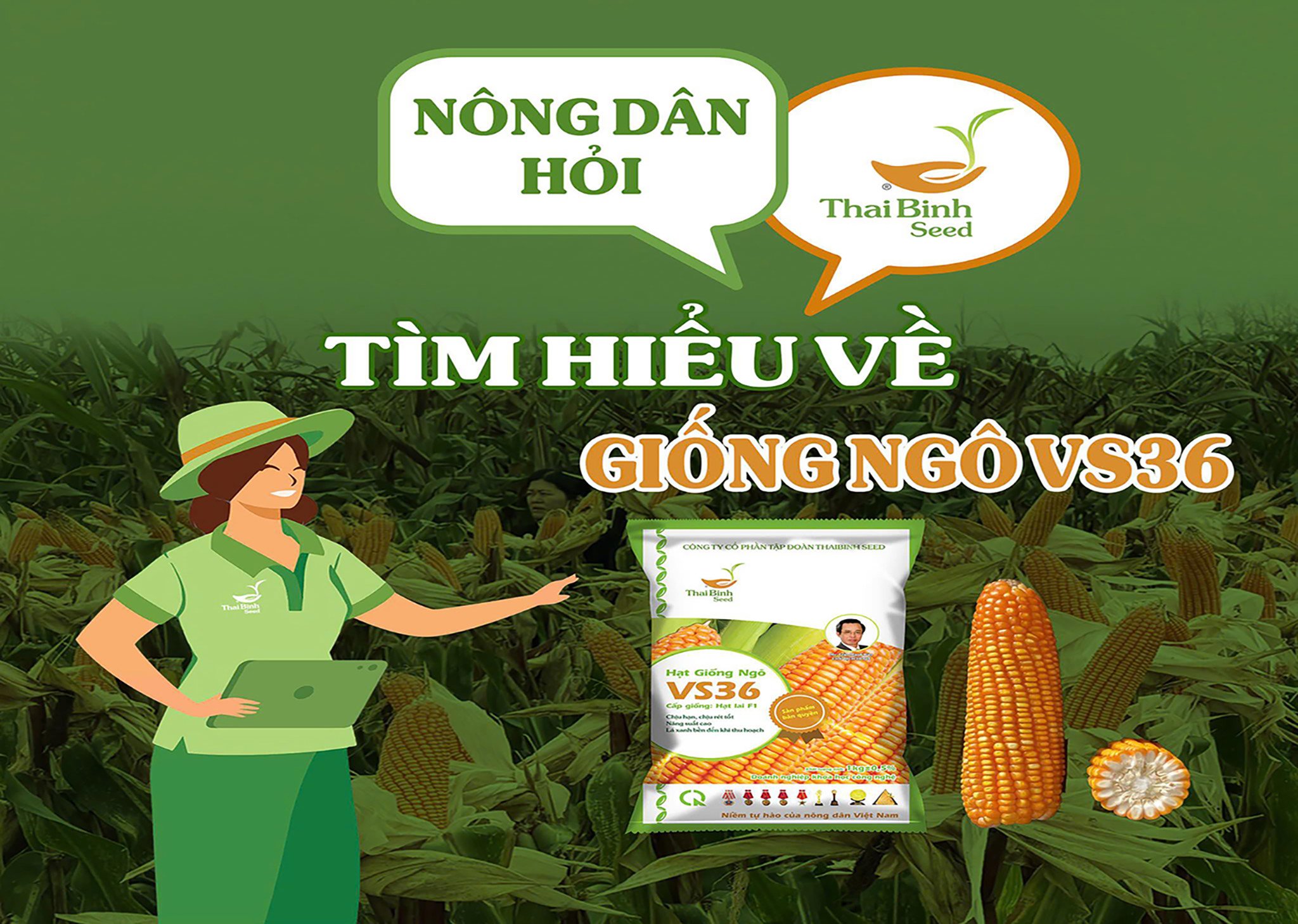 NÔNG DÂN HỎI - THAIBINH SEED TRẢ LỜI SỐ 4
