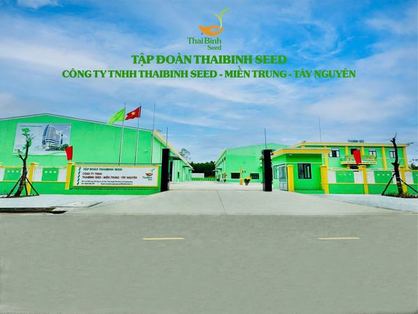 🎉TẬP ĐOÀN THAIBINH SEED CHUẨN BỊ KHÁNH THÀNH CƠ SỞ MỚI TẠI MIỀN TRUNG TÂY NGUYÊN.