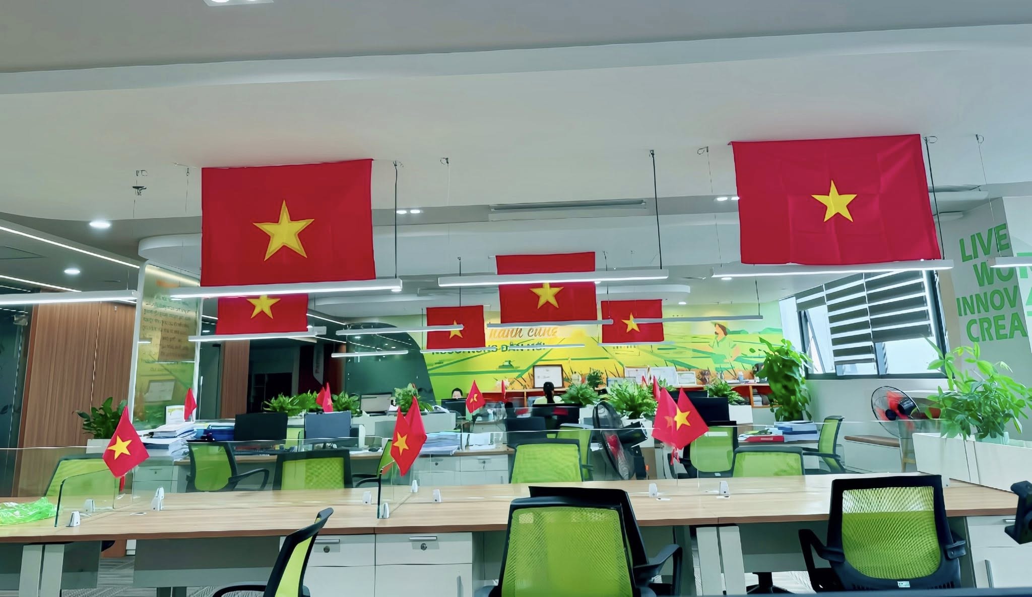 THẮM ĐỎ MÀU CỜ - THÁNG TƯ KHẢI HOÀN TẠI THAIBINH SEED.