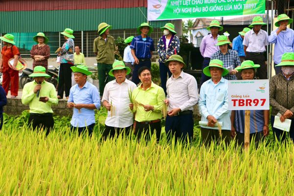 TBR97 – NỐI DÀI NIỀM VUI ĐƯỢC MÙA TỪ QUÊ HƯƠNG BÁNH ĐẬU XANH ĐẾN MIỀN QUAN HỌ.