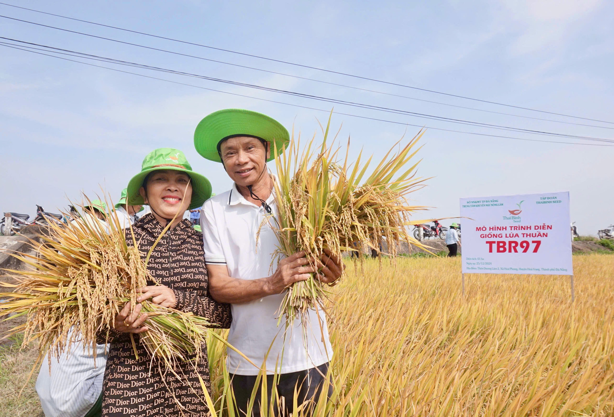 🌾 TBR97 – “BOM TẤN” CỦA THAIBINH SEED TIẾP TỤC GÂY ẤN TƯỢNG TẠI ĐÀ NẴNG 🌾