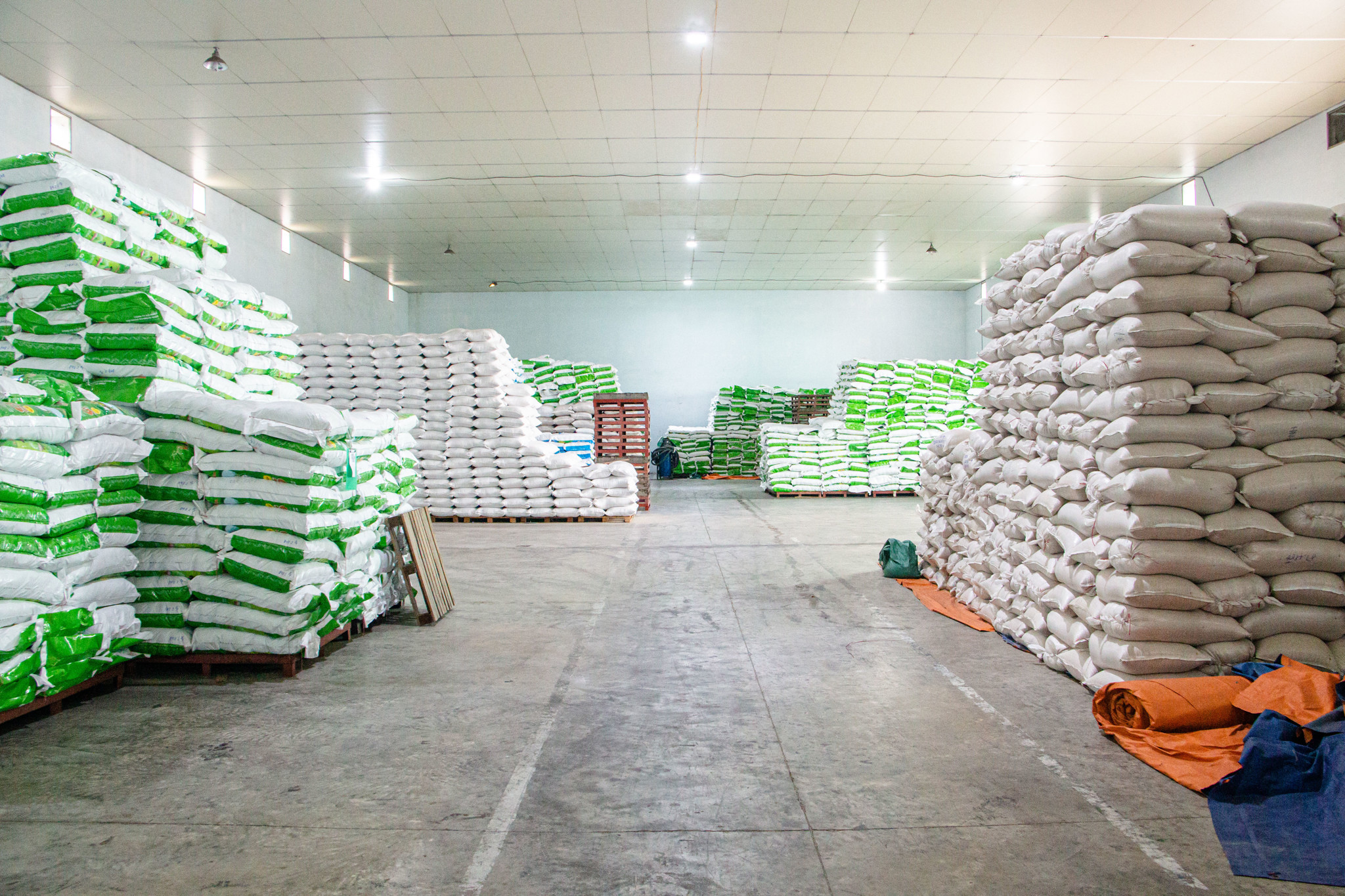🌾 THAIBINH SEED SẴN SÀNG GIỐNG LÚA CHẤT LƯỢNG PHỤC VỤ VỤ HÈ THU 2025 🌾
