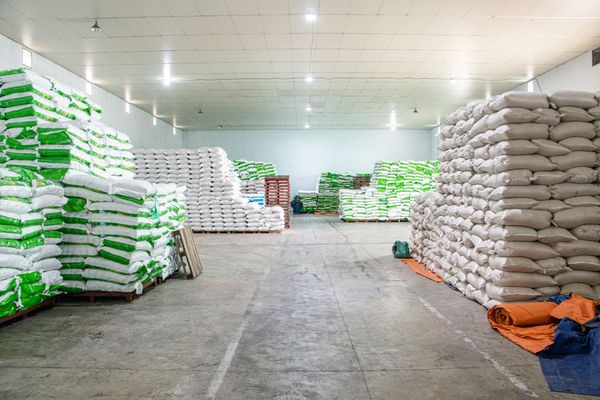 🌾 THAIBINH SEED SẴN SÀNG GIỐNG LÚA CHẤT LƯỢNG PHỤC VỤ VỤ HÈ THU 2025 🌾