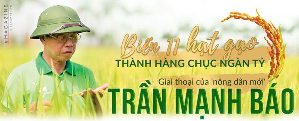 BIẾN 11 HẠT GẠO THÀNH HÀNG CHỤC NGÀN TỶ - GIAI THOẠI CỦA 'NÔNG DÂN MỚI' TRẦN MẠNH BÁO