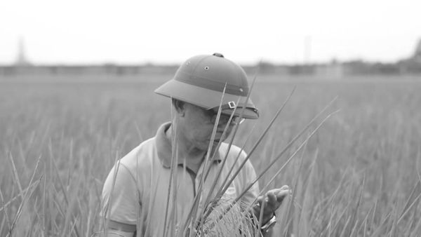 THƯƠNG BÌNH TRẦN MẠNH BÁO THÀNH CÔNG TRÊN MẶT TRẬN MỚI