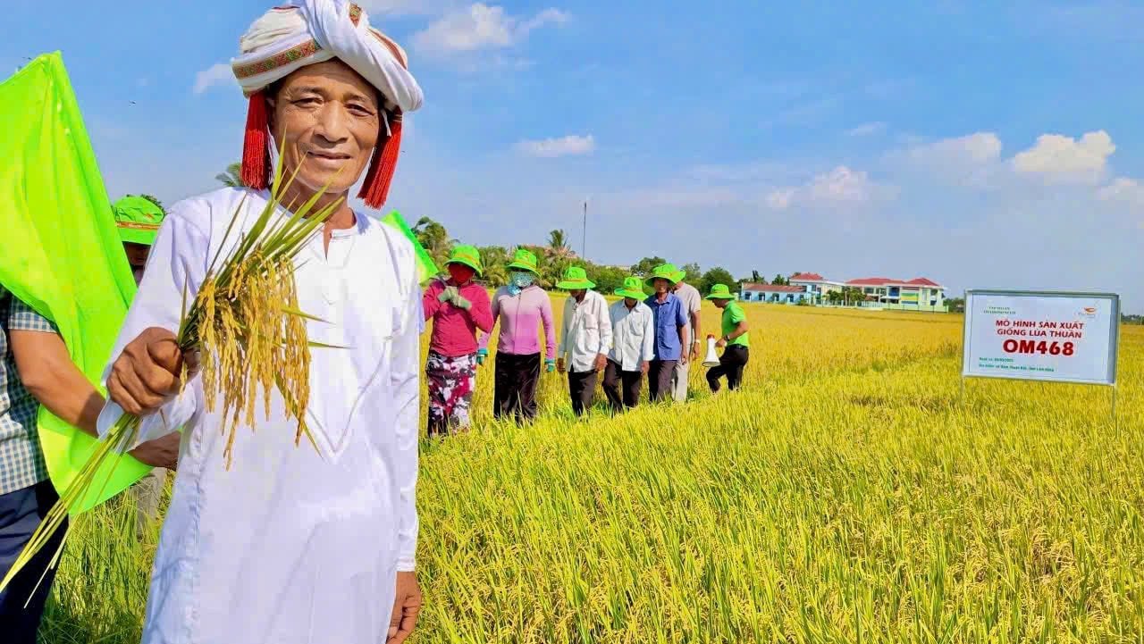 OM468 – “VỪA Ý” BÀ CON ĐỒNG BÀO CHĂM