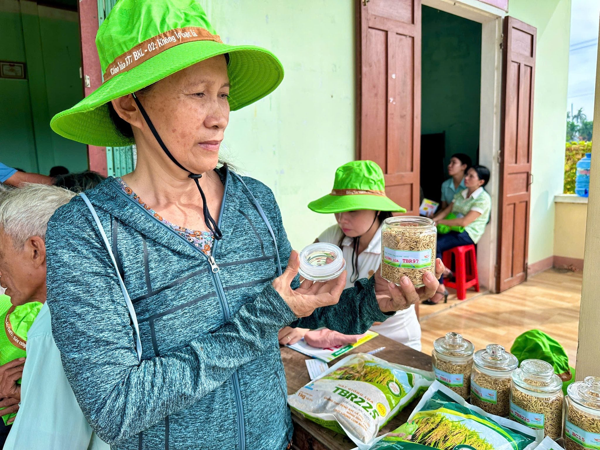 PHỐ NÚI MÙA NÀY RỰC VÀNG SẮC LÚA TBR97