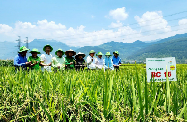 THÁI ĐEN, THÁI TRẮNG, THÁI BÌNH - BA THÁI ĐỒNG TÌNH XÂY DỰNG PHÙ YÊN