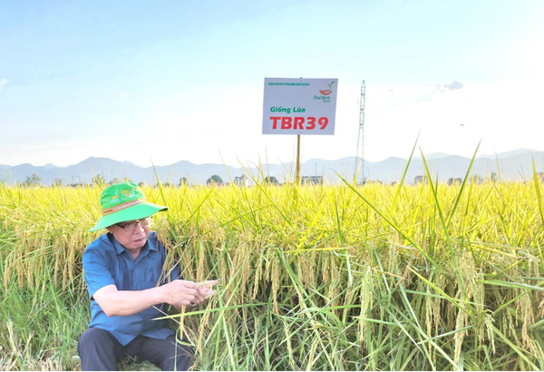 TRỞ LẠI ĐIỆN BIÊN