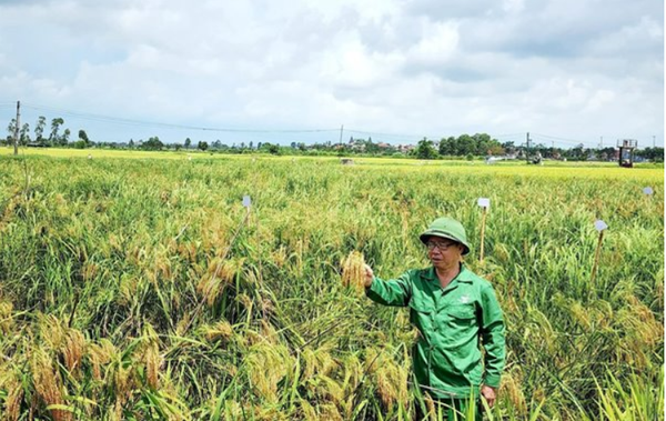 ĐẶC SẢN THÁI BÌNH XƯA! 