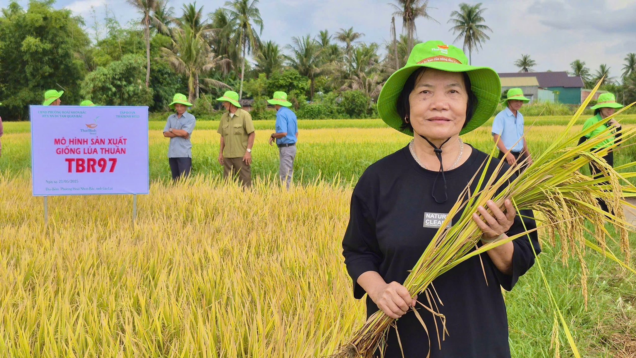 TỪ “VÙNG DỪA” TAM QUAN – NGHE NÔNG DÂN KỂ CHUYỆN TBR97