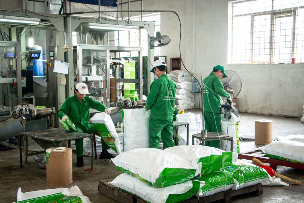 Chuẩn bị cho vụ Hè Thu 2025