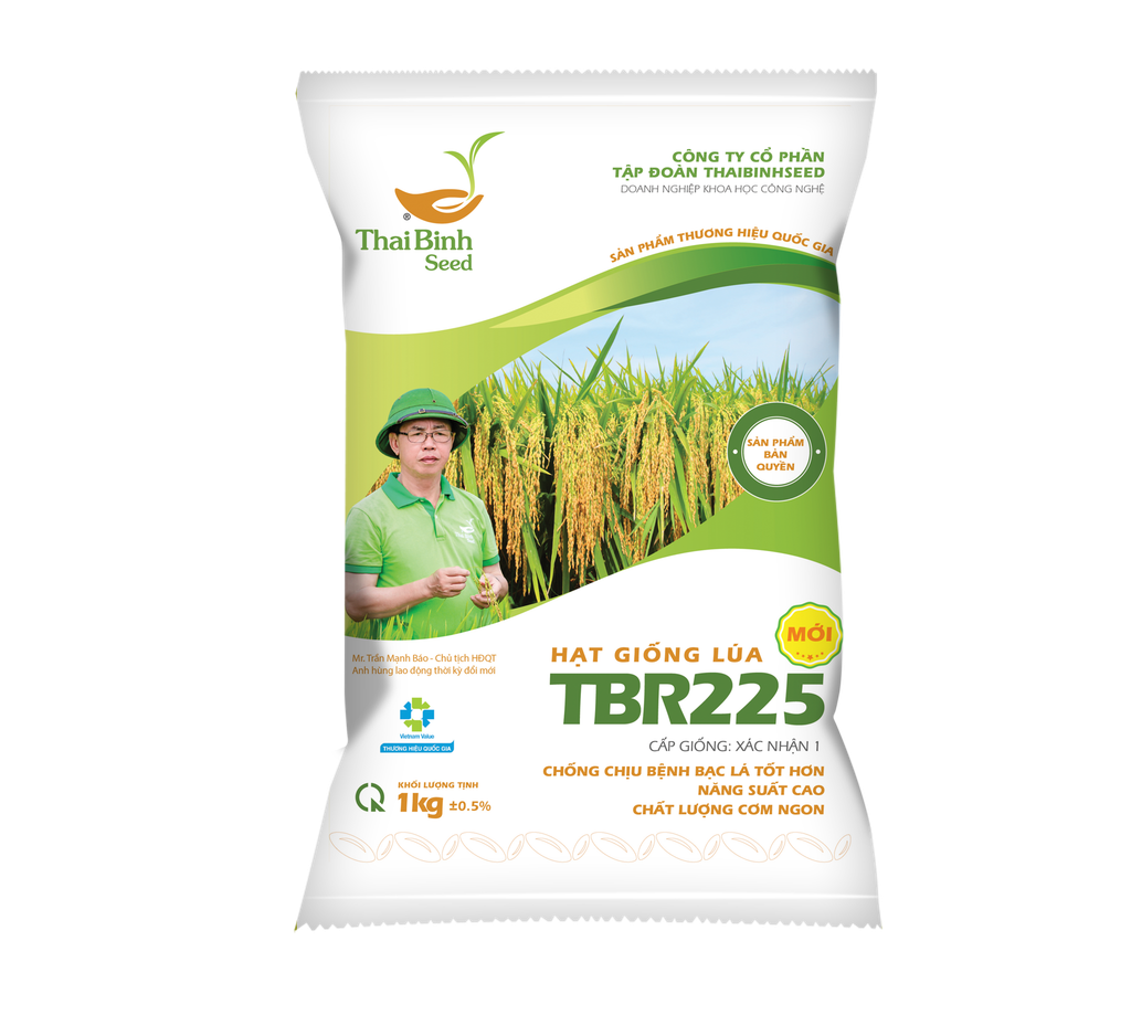 Giống lúa TBR225 chịu rét tốt