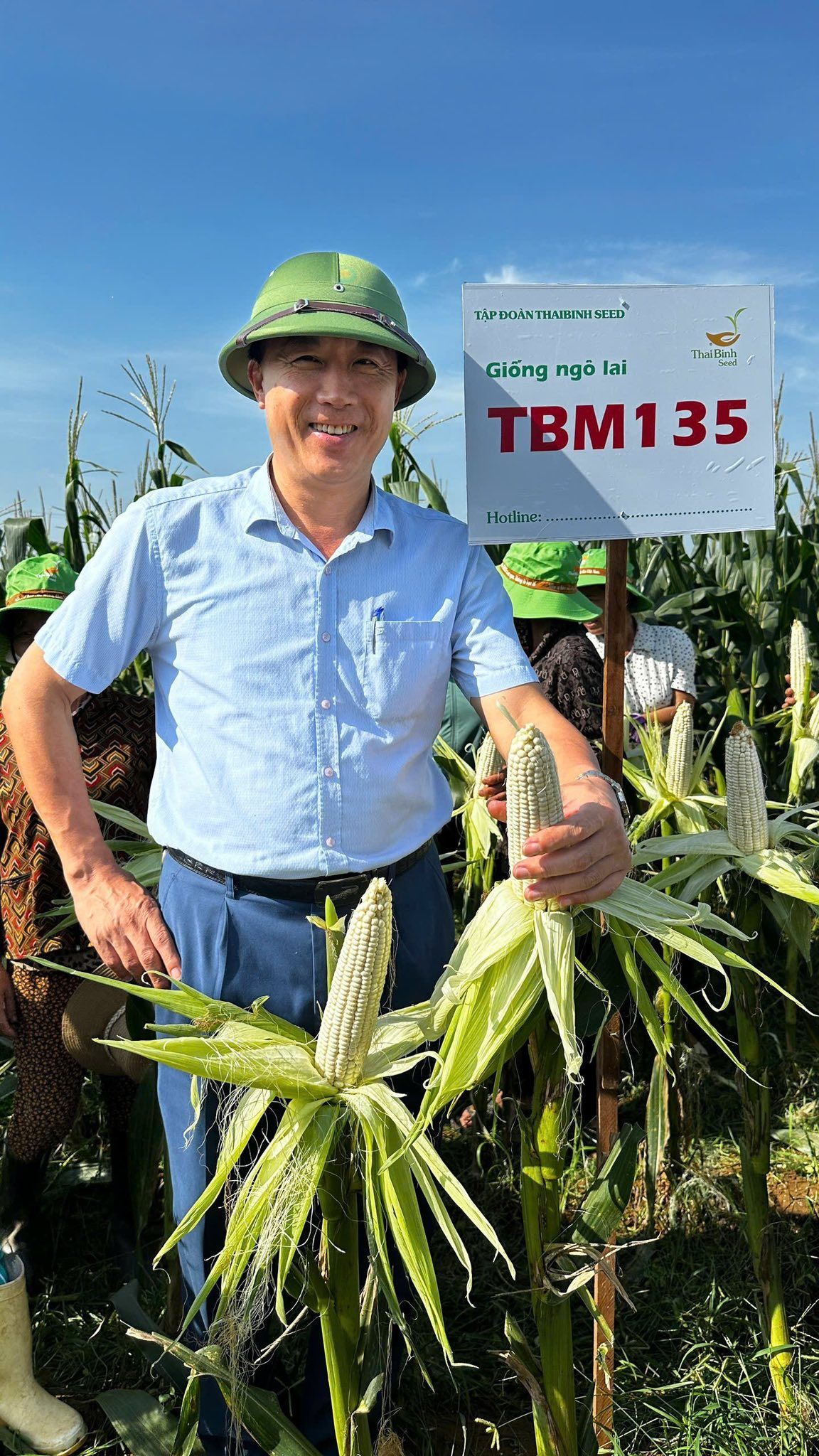 Ngô nếp TBM135 - Diễn Mỹ, Diễn Châu, Nghệ An