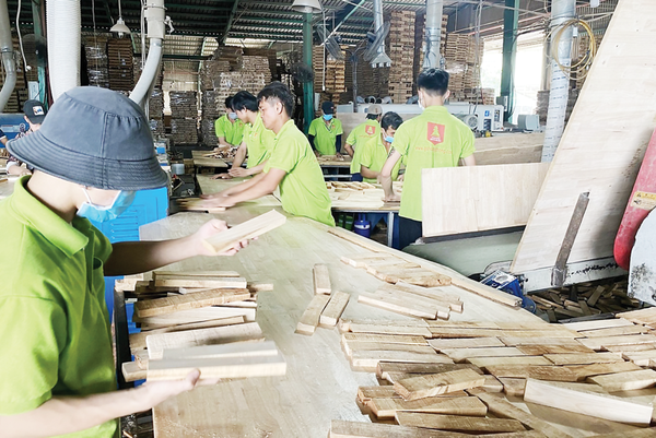 Gỗ ghép thanh tồn kho lớn