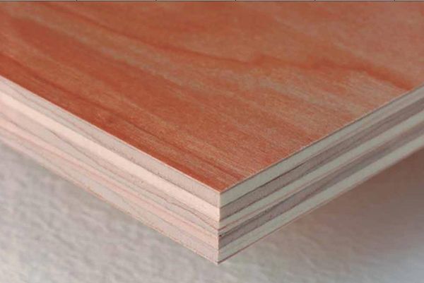 Thị trường plywood sẽ đạt 154 tỷ USD vào năm 2031