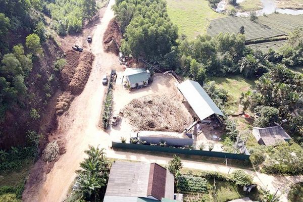 Tăng cường quản lý đối với các cơ sở chế biến gỗ