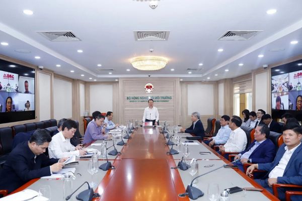Ngành gỗ Việt Nam mong muốn nhập khẩu gỗ nguyên liệu từ Hoa Kỳ