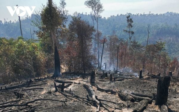 Các nhà xuất khẩu đồ nội thất của Indonesia lo ngại về các quy định cấm phá rừng của EU