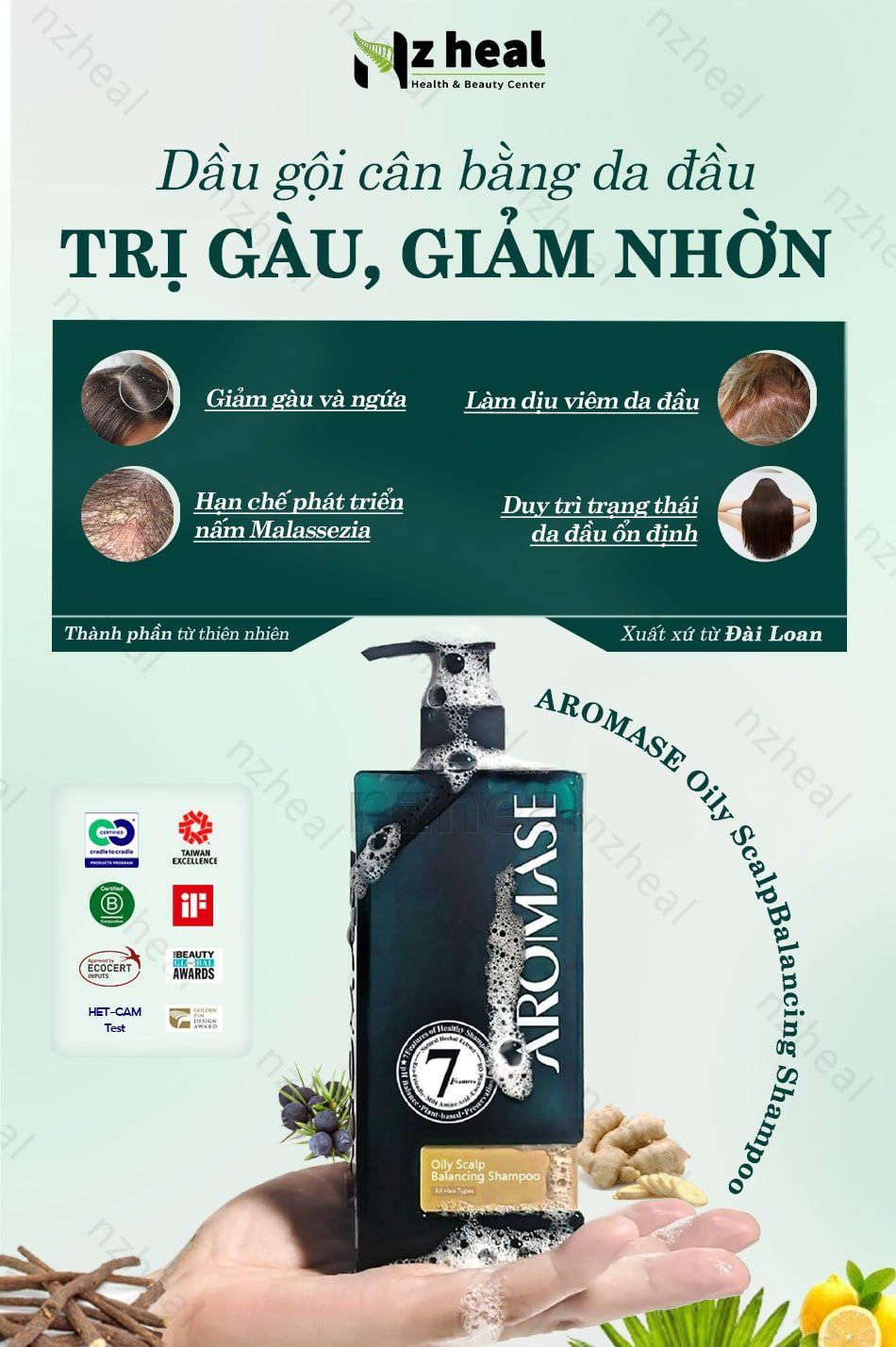 Dầu gội giảm gàu và dầu nhờn da đầu Aromase Oily Scalp Balancing Shampoo 90ml