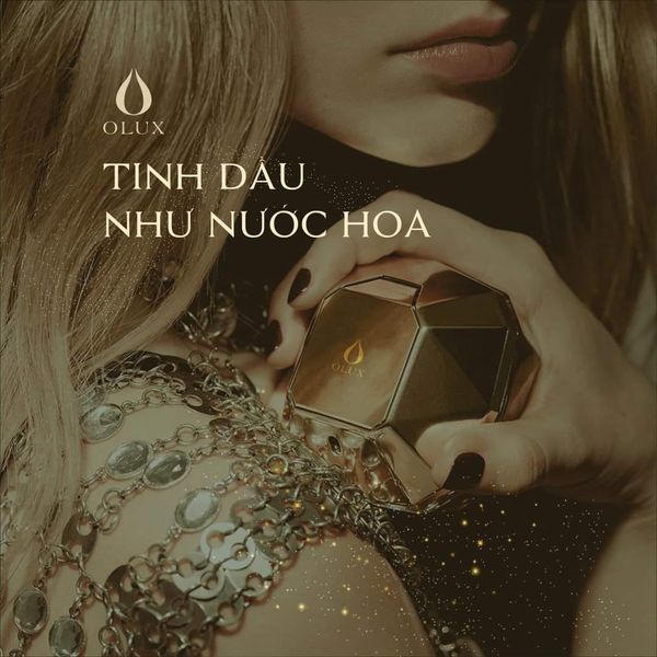 Đồ trang trí tạo hương thơm trong xe hơi bạn có thể biết