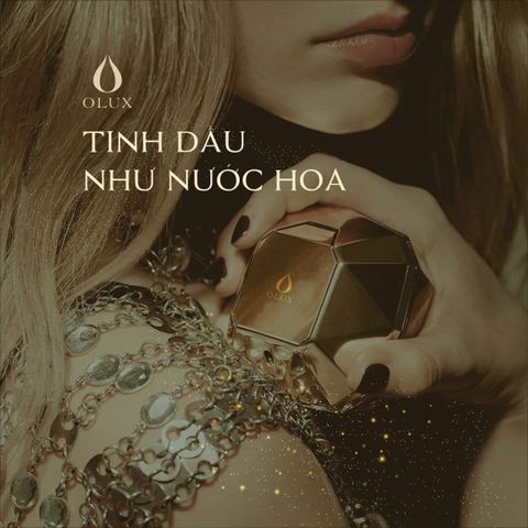 Đồ trang trí tạo hương thơm trong xe hơi bạn có thể biết