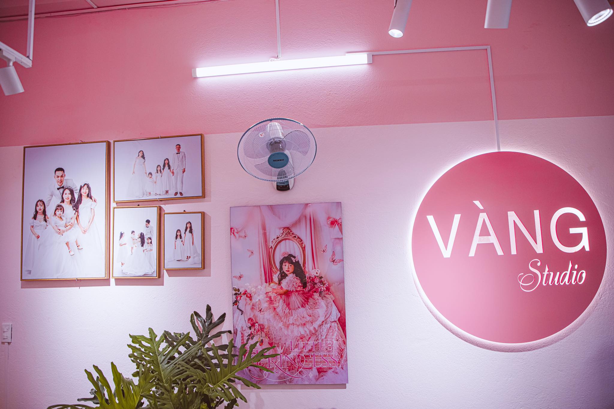 GIỚI THIỆU VỀ “VÀNG STUDIO”