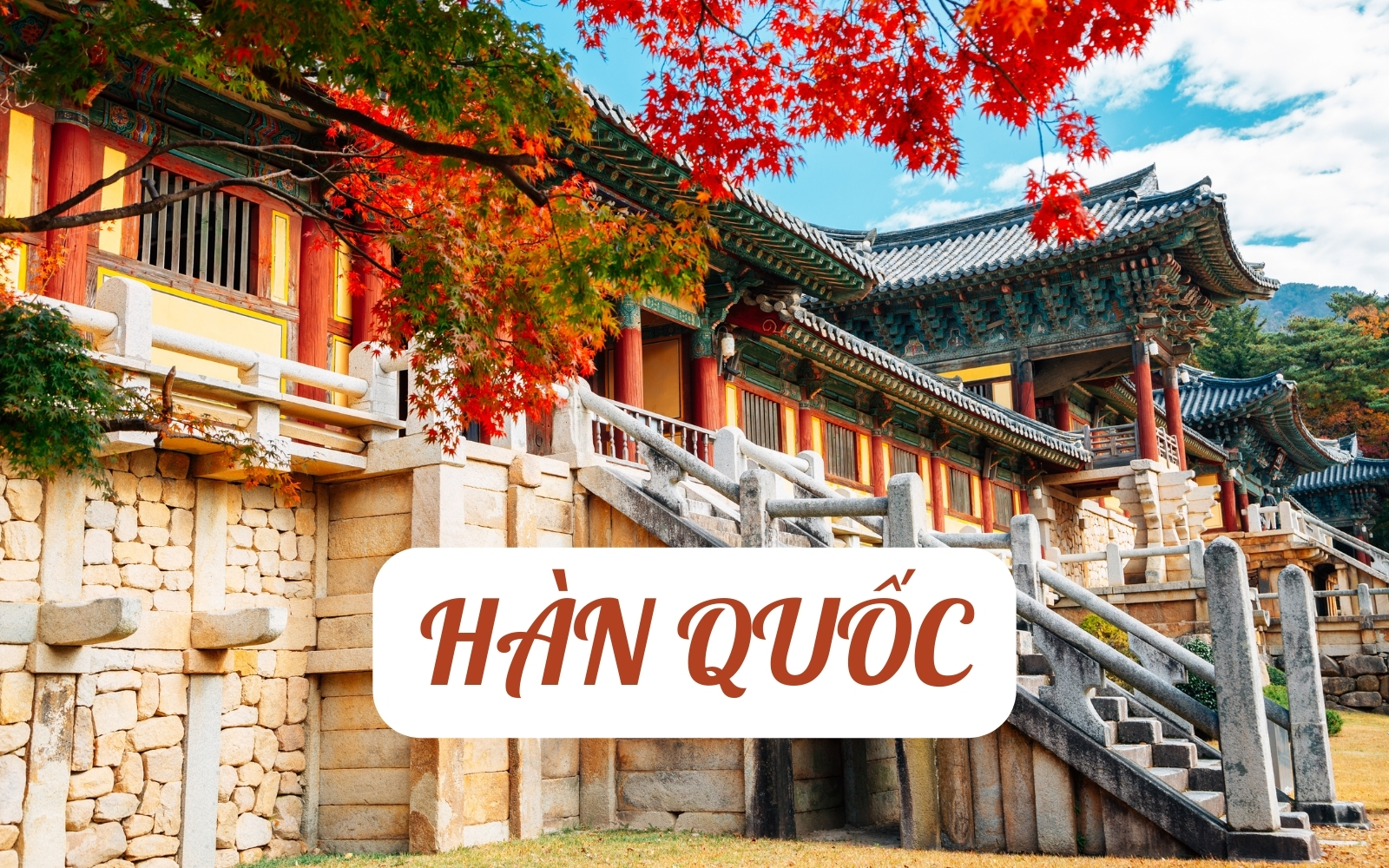 Du Lịch Hàn Quốc - Lịch Khởi Hành 2024