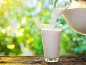 Sữa bột hữu cơ và lợi ích của việc chọn sản phẩm hữu cơ