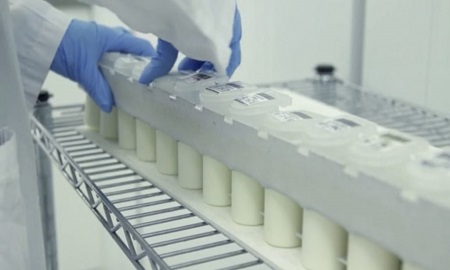 Các phương pháp kiểm tra chất lượng sữa bột sau gia công