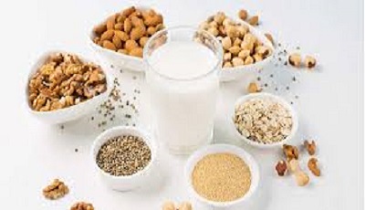 Sữa hạt và giải pháp gia công hiệu quả