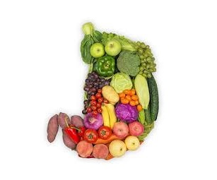 Sản xuất thực phẩm chức năng hỗ trợ tiêu hóa và sức khỏe đường tiêu hóa