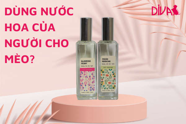 Có nên sử dụng nước hoa của người cho chó mèo không?