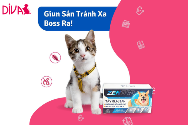 Một số loại ký sinh trùng đường ruột có thể lây từ thú cưng sang người