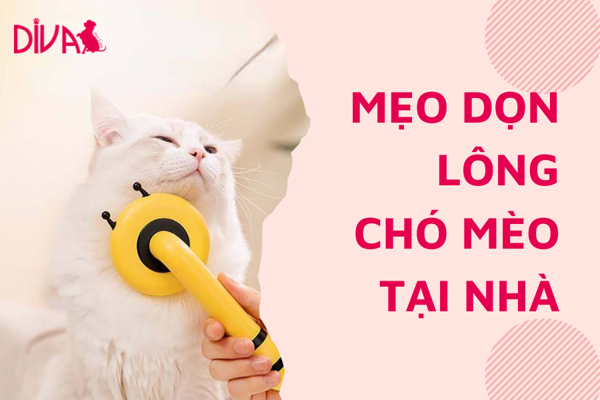 Mẹo dọn lông chó mèo tại nhà