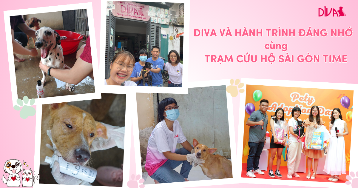 DIVA Tài Trợ Sữa Tắm, Thuốc Xổ Giun tại Trạm cứu hộ Sài Gòn Time