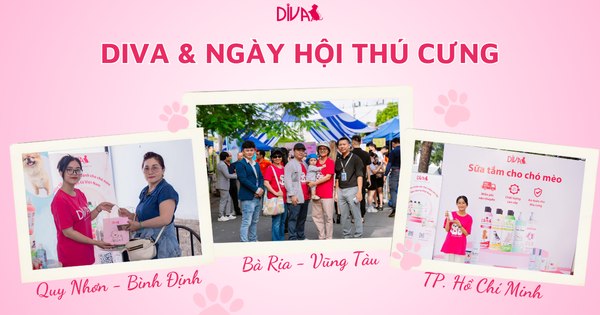 Ngày hội Thú cưng - Nơi kết nối với người yêu thú cưng và thú cưng