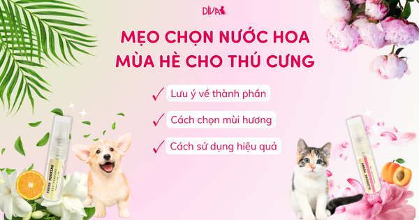 Mẹo Chọn Nước Hoa Mùa Hè Cho Thú Cưng