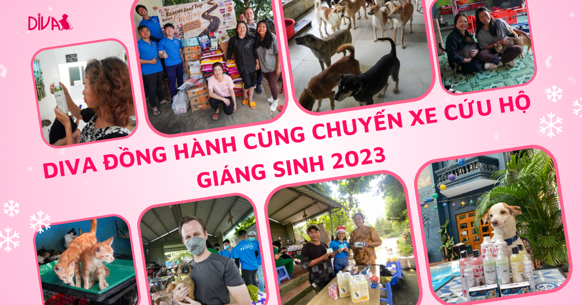 DIVA Đồng Hành Cùng Chuyến Xe Cứu Hộ Giáng Sinh 2023